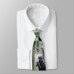 Red tailed hawk tie