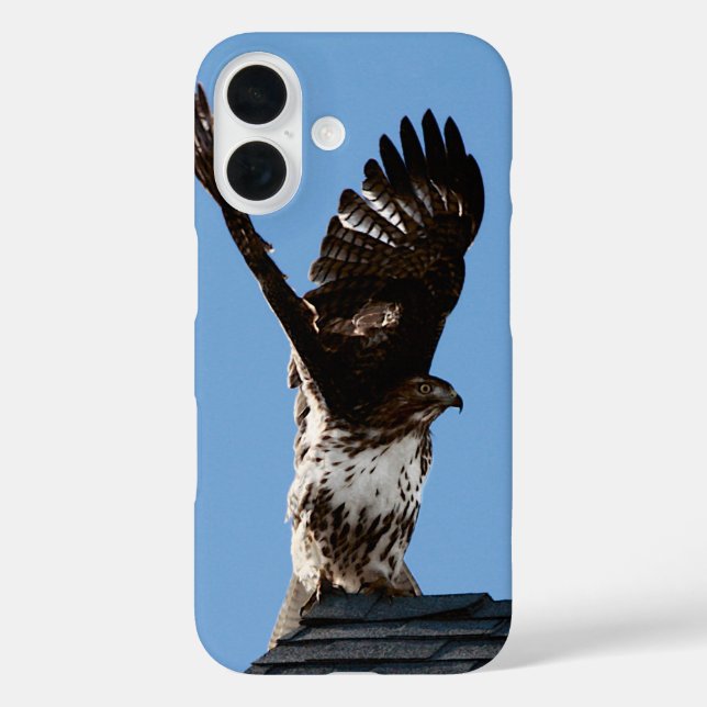 Red-Tailed Hawk with Wings Lifted Wildlife Photo Case-Mate iPhone Case (Back)
