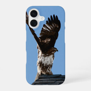 Red-Tailed Hawk with Wings Lifted Wildlife Photo iPhone 16 Case