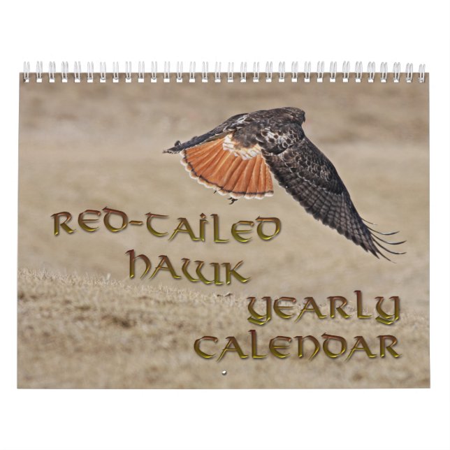 Red-tailed Hawk Yearly Calendar (Cover)