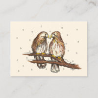 Red-Tailed Hawks Love Bird Watching Snow Winter
