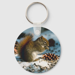 Red Tailed Squirrel Key Ring