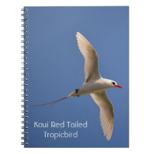 Red Tailed Tropicbird Kauai my photography Notebook