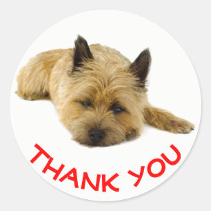 Red Thank You Cairn Terrier Puppy Dog Classic Round Sticker