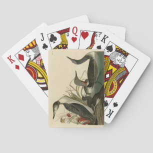Red-Throated Diver (Loon) Audubon Birds of America Playing Cards