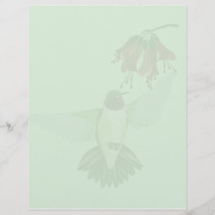 Red Throated Hummingbird2 letterhead_vertical
