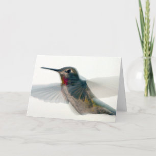 Red-Throated Hummingbird Card