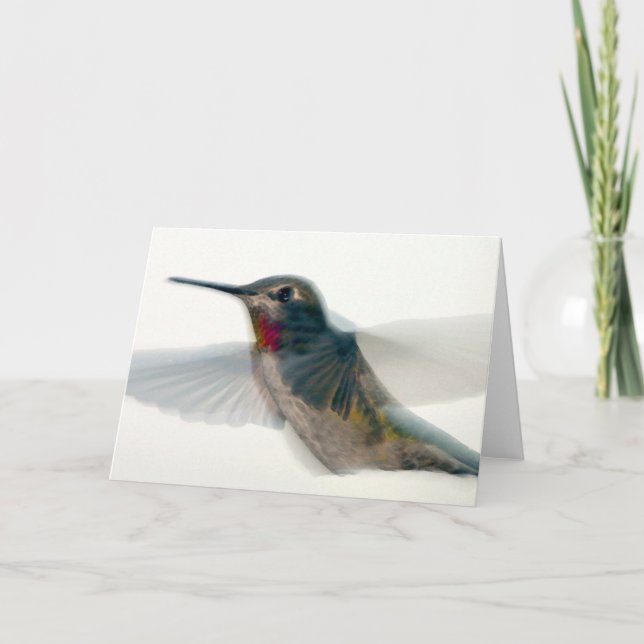 Red-Throated Hummingbird Card (Front)
