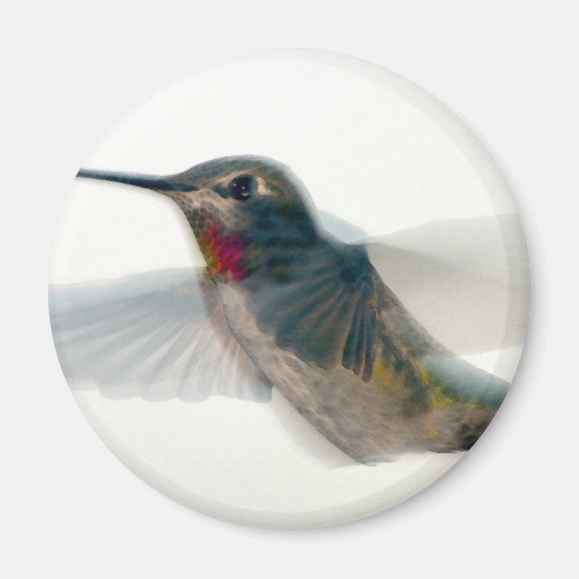 Red-Throated Hummingbird Magnet (Front)