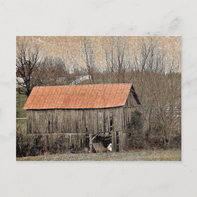 Red Tin Roof Postcard (Front)