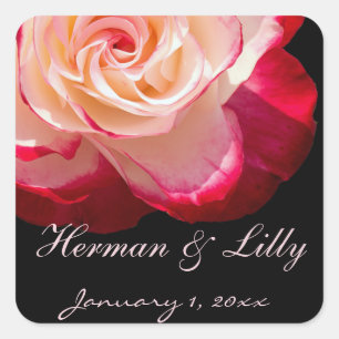 Red Tipped White Rose Personalised Wedding Square Sticker