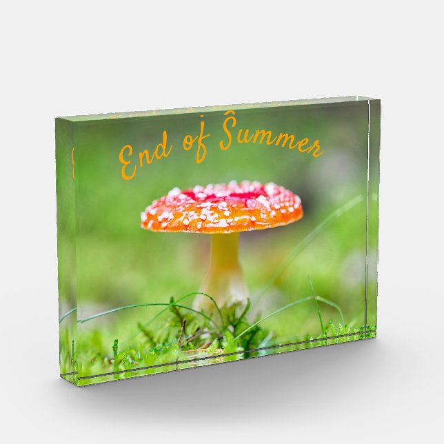 Red toadstool mushroom fall End of summer Photo Block (Left)