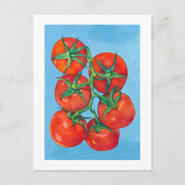 Red Tomatoes Postcard (Front)