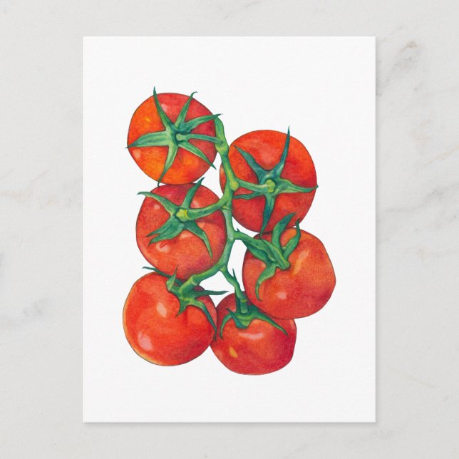 Red Tomatoes Postcard (Front)