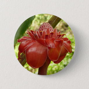 Red Torch Ginger Tropical Flower Photography 6 Cm Round Badge