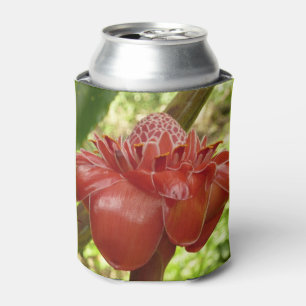 Red Torch Ginger Tropical Flower Photography Can Cooler