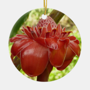 Red Torch Ginger Tropical Flower Photography Ceramic Tree Decoration