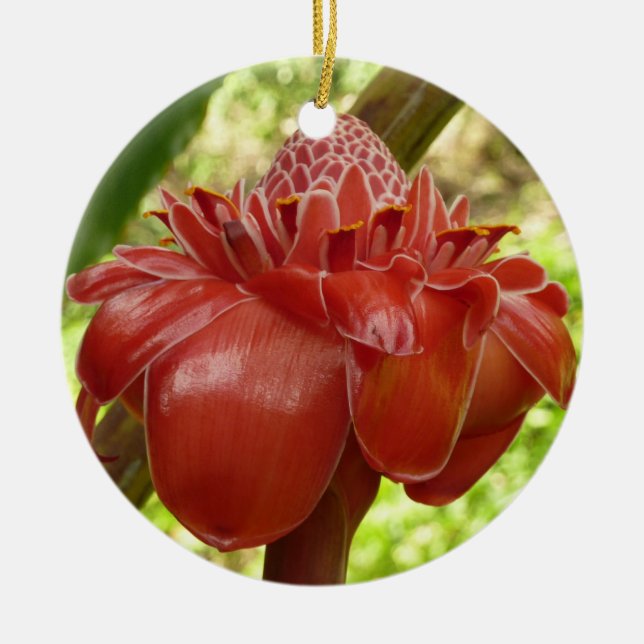Red Torch Ginger Tropical Flower Photography Ceramic Tree Decoration (Front)