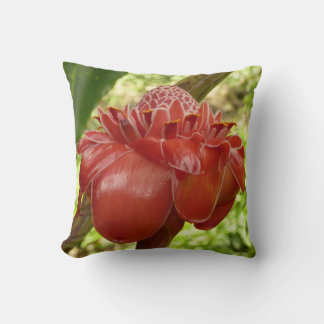 Red Torch Ginger Tropical Flower Photography Cushion