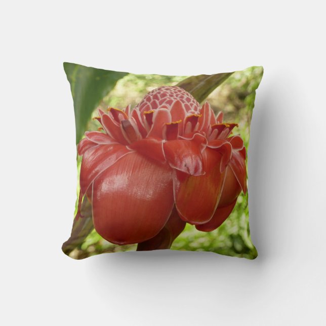 Red Torch Ginger Tropical Flower Photography Cushion (Front)