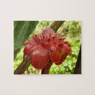 Red Torch Ginger Tropical Flower Photography Jigsaw Puzzle