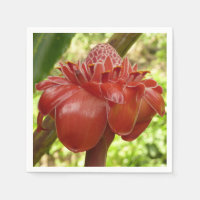 Red Torch Ginger Tropical Flower Photography