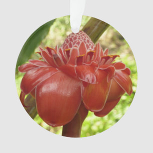 Red Torch Ginger Tropical Flower Photography Ornament