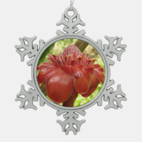 Red Torch Ginger Tropical Flower Photography