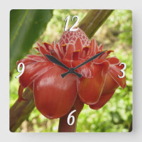 Red Torch Ginger Tropical Flower Photography