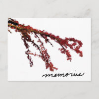 Red tree branch with memories