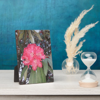 Red tree flower plaque