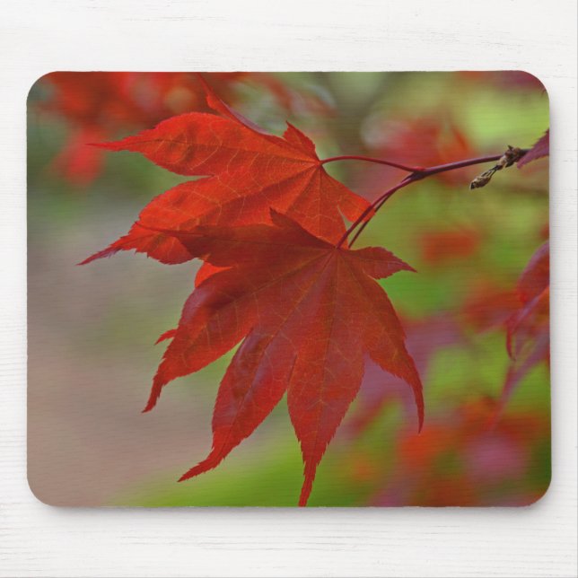 Red Tree Leaves Mouse Pad (Front)