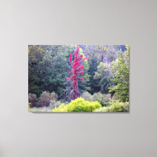 Red Tree Nature Scene (Wrapped Canvas Print) Print