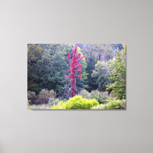 Red Tree Nature Scene (Wrapped Canvas Print) Print (Front)