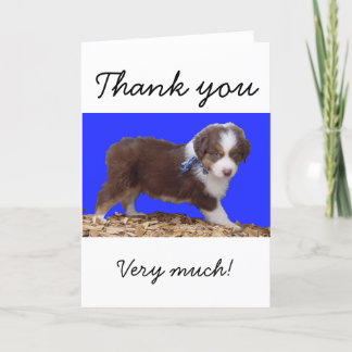 Red Tri Aussie Puppy Thank You Card