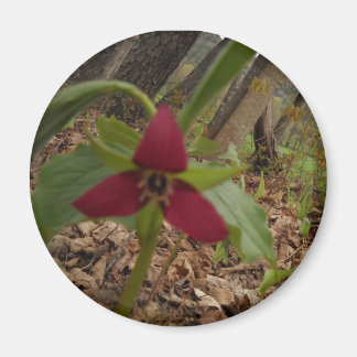 Red Trillium Magnet
