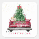 Red Truck | Pawprint Christmas Square Sticker<br><div class="desc">Adorable Christmas vintage red truck carrying decorated Christmas tree and Golden Retriever puppies for the festive season! Custom name feature with easy online editor. 1.5" / 20 per sheet.</div>