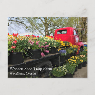 Red Truck with Spring Flowers & Rainbow Postcard