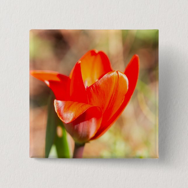 Red Tulip Blossom 15 Cm Square Badge (Front)