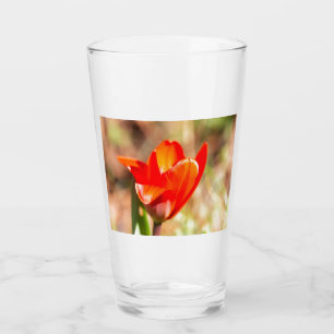 Red Tulip Blossom Glass