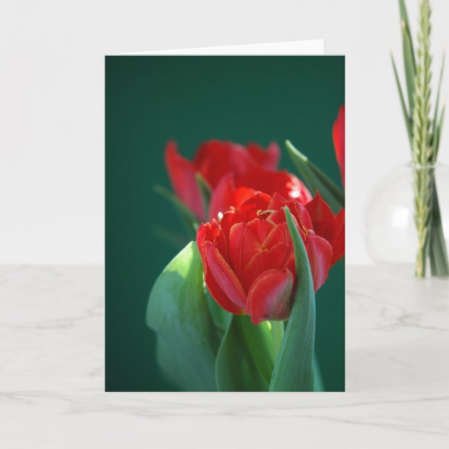 Red Tulip Card (Front)