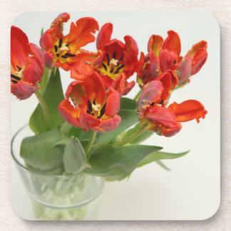 red tulip coaster