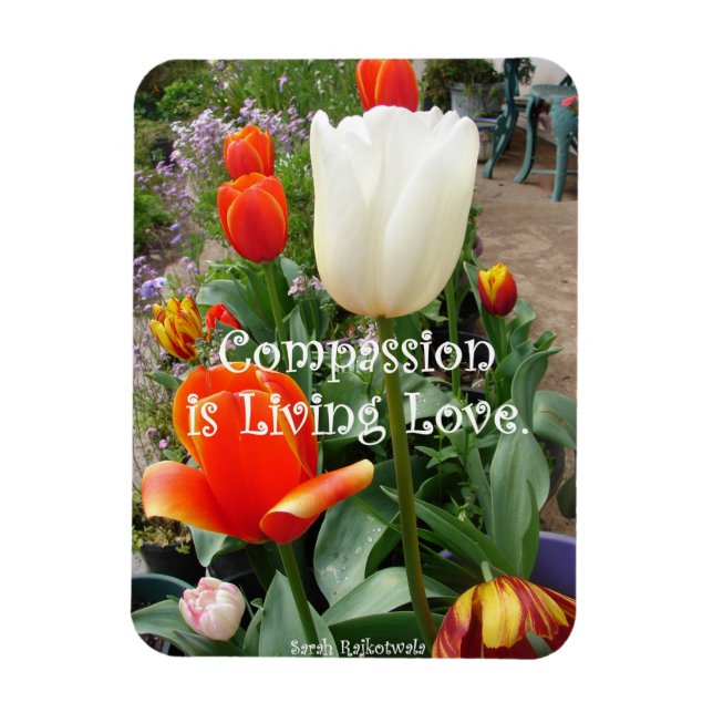 Red Tulip Compassion Quote Flowers photo Magnet (Vertical)