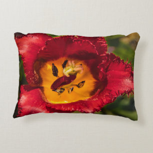 Red tulip decorative cushion