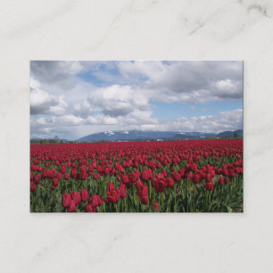 Red Tulip Field Business Card