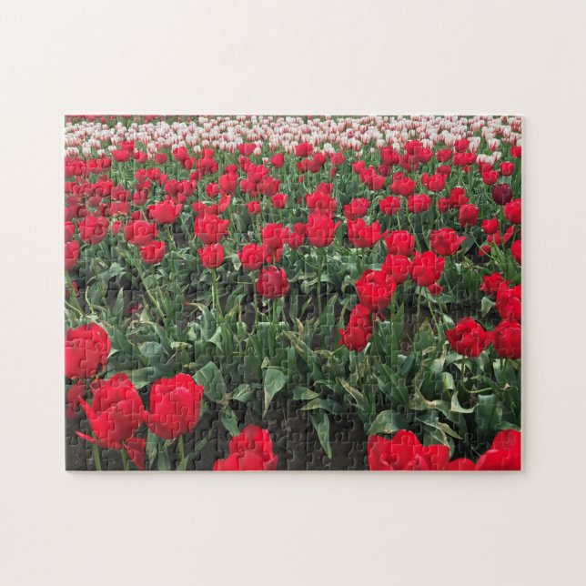Red Tulip Field, Oregon Jigsaw Puzzle (Horizontal)