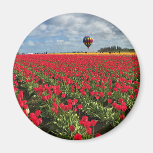 Red Tulip Field with Hot Air Balloon Magnet