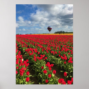 Red Tulip Field with Hot Air Balloon Poster