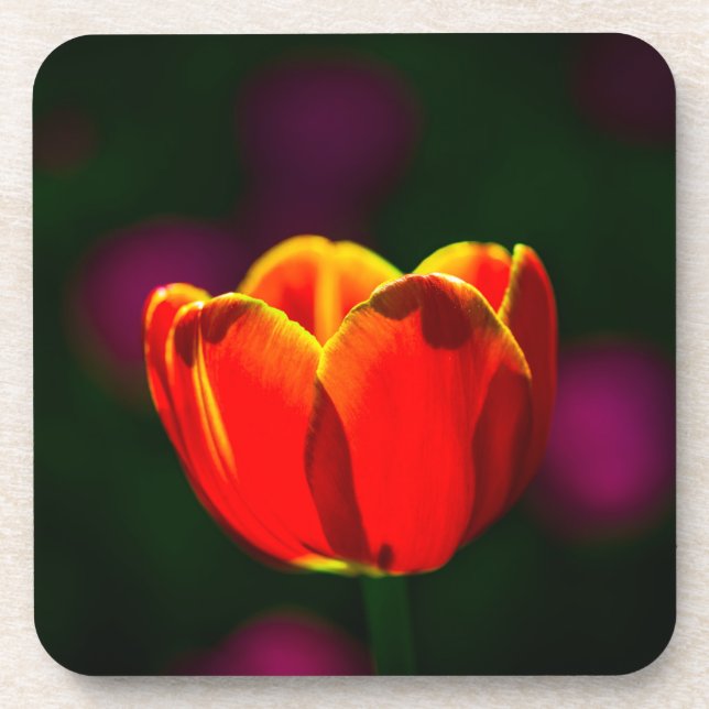 Red tulip flower coaster (Front)