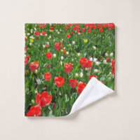 Red Tulip Flower Field Nature Photography